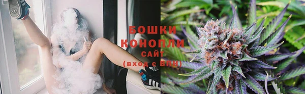 твердый Осинники