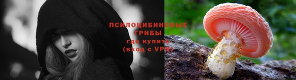 spice Новозыбков