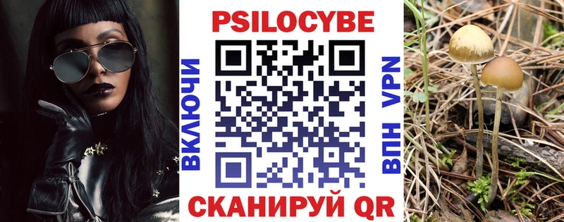 Псилоцибиновые грибы Psilocybe  Купить  Ардатов 